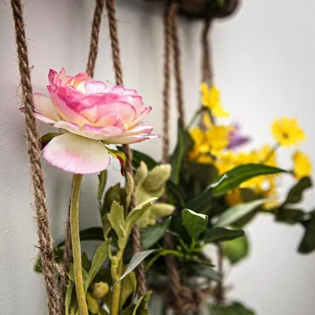 Rhea / рея 3* بالشيك